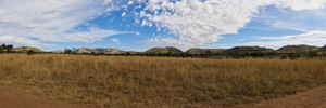 Lenong Panorama